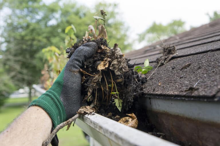 Gutter Cleaning Houston